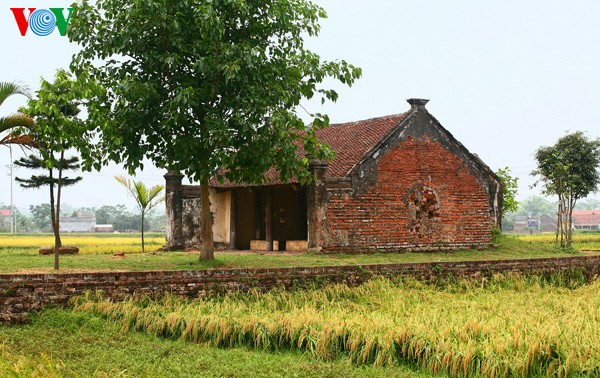 Ancient village at harvest time  - ảnh 2